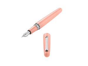 Montegrappa Elmo 01 Peach Fuzz Füllfederhalter, Edelstahl, ISEOR-AS